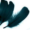 Goose Nagoire Feather (24 Pack)