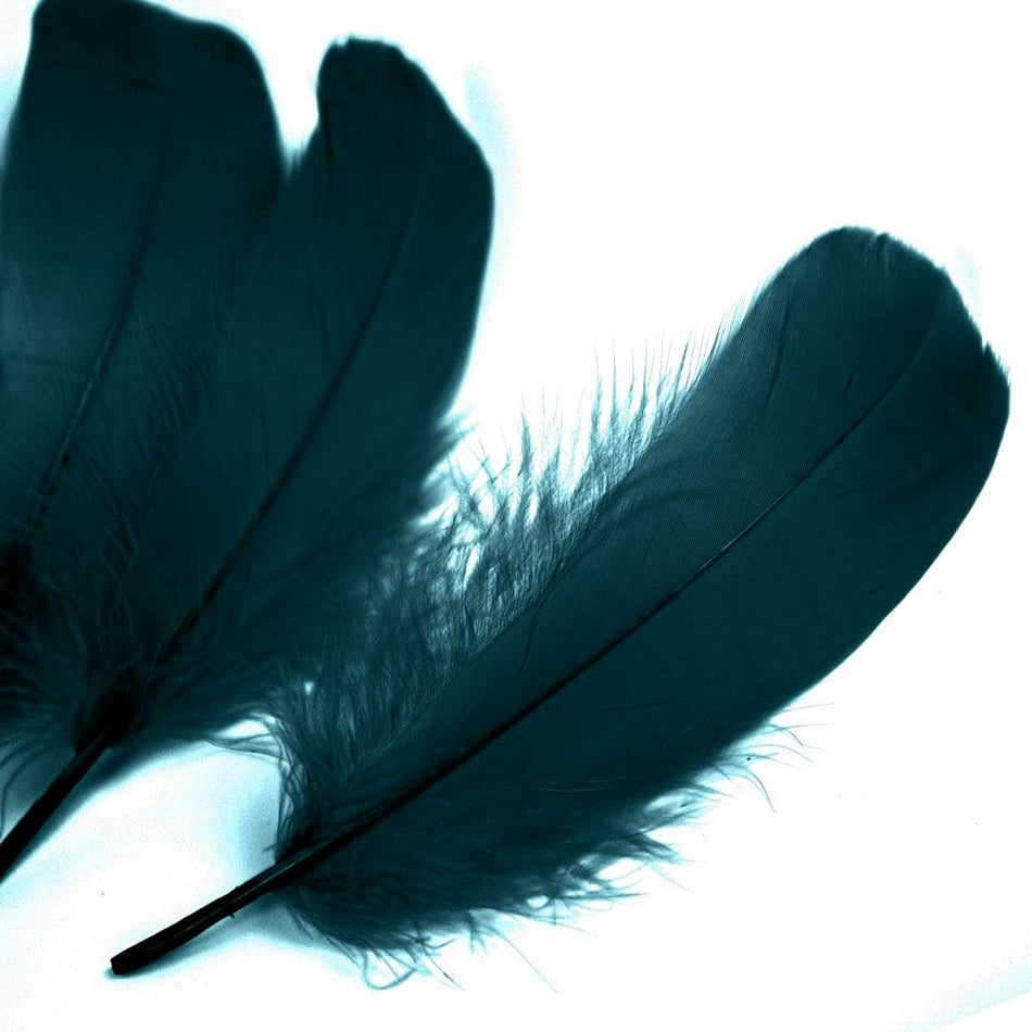 Goose Nagoire Feather (24 Pack)