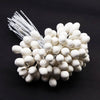 Flower Stamens Clay Buds