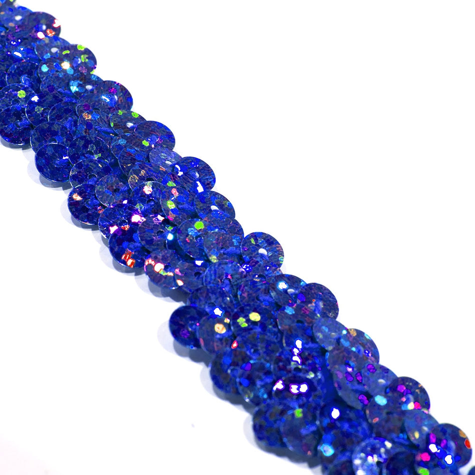 2-Row Stretch Sequin Trim
