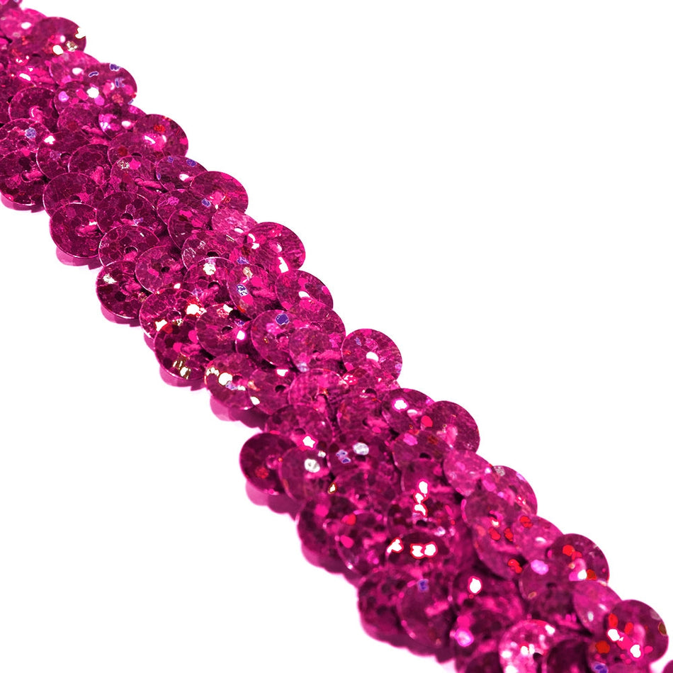 2-Row Stretch Sequin Trim