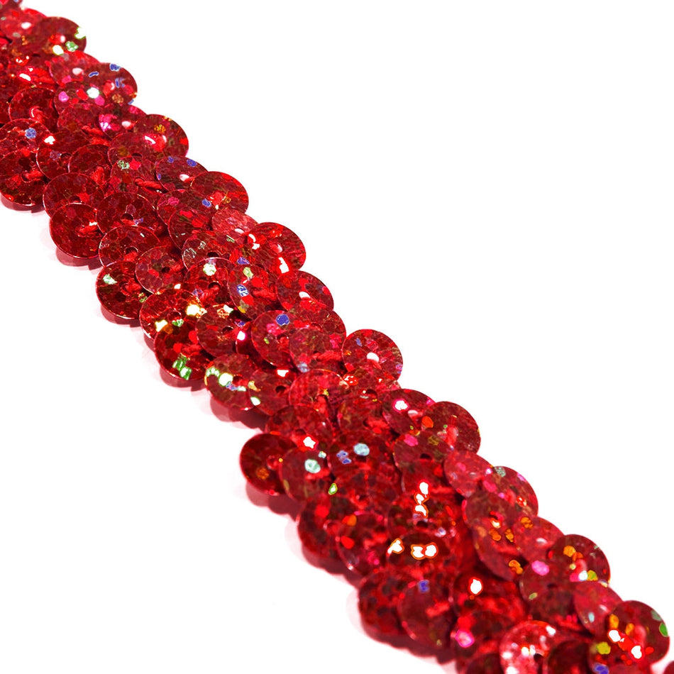 2-Row Stretch Sequin Trim