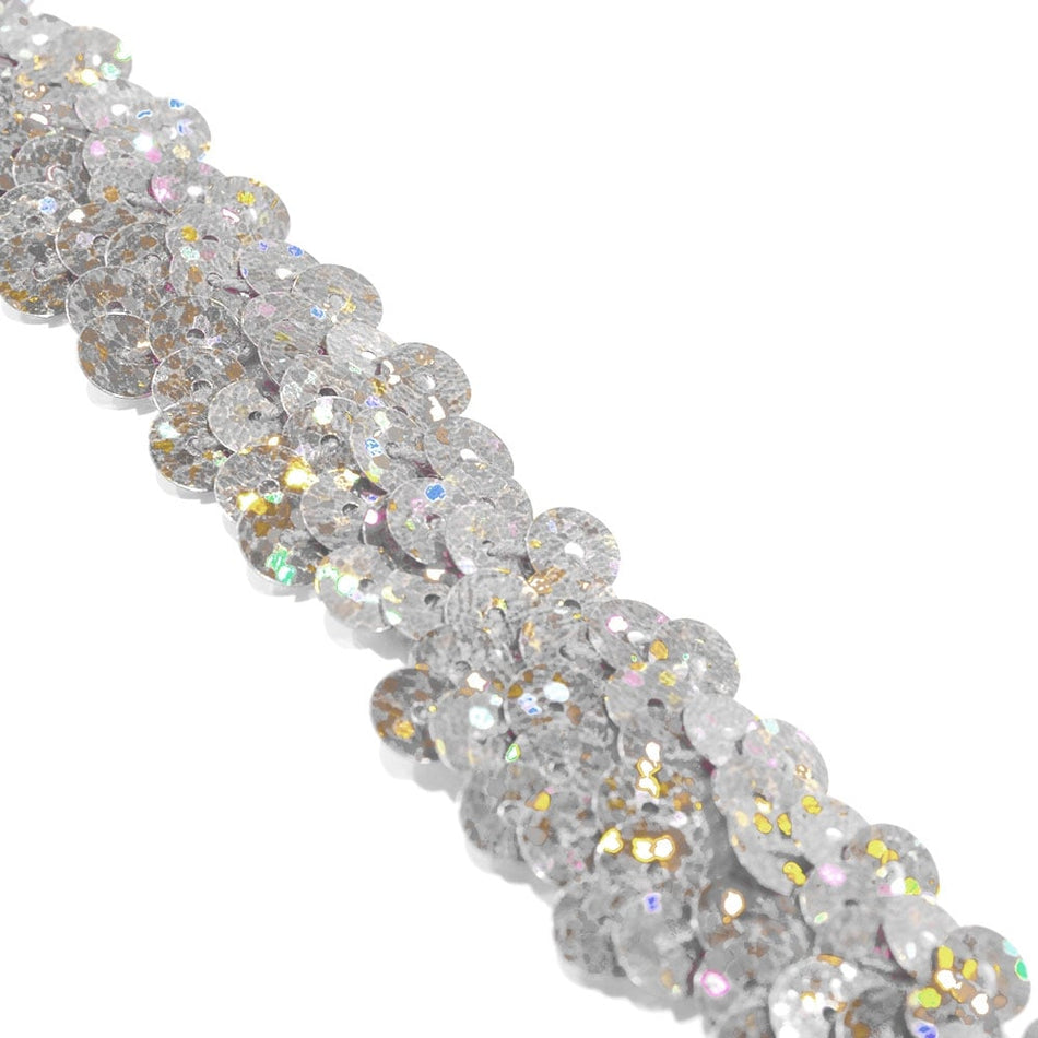 2-Row Stretch Sequin Trim