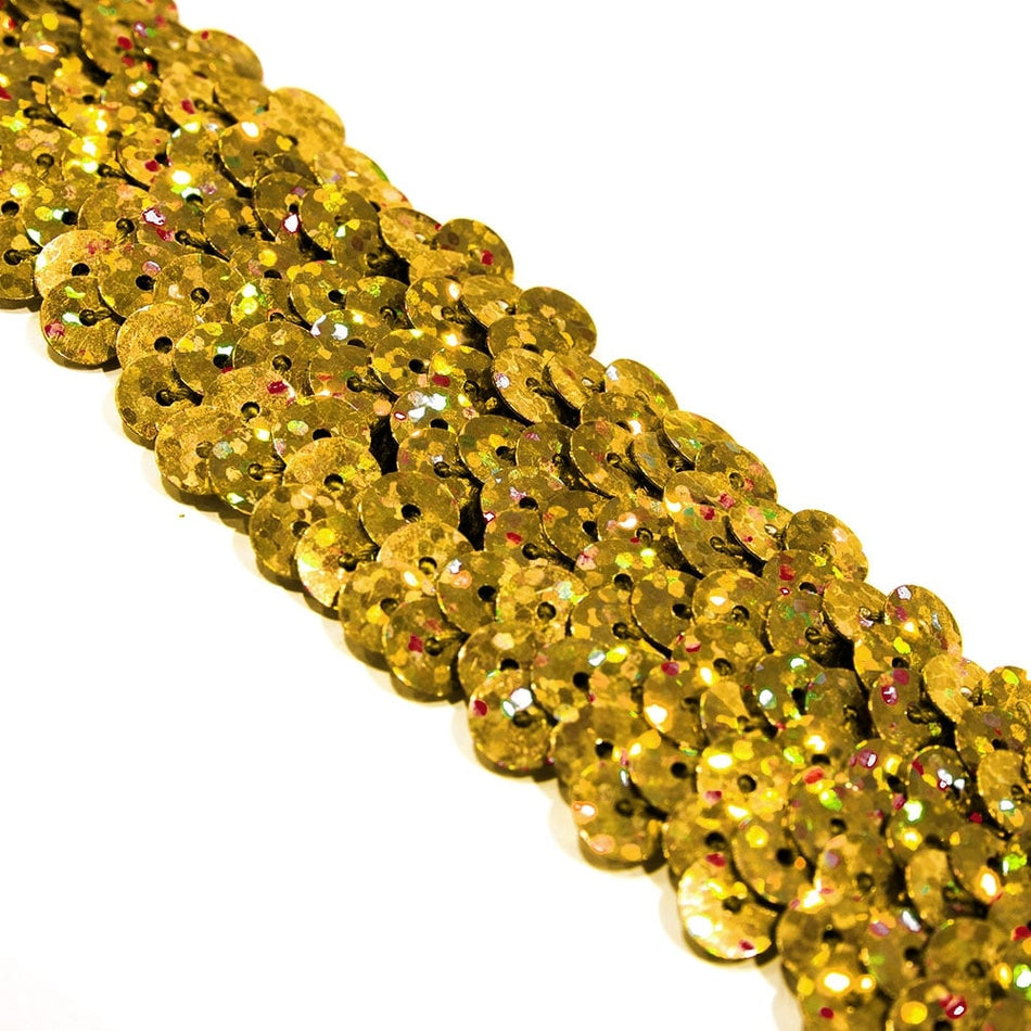 3-Row Stretch Sequin Trim