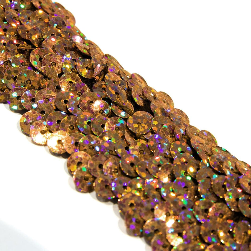 4-Row Sequin Stretch Trim