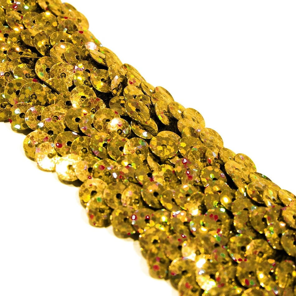 4-Row Sequin Stretch Trim
