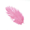 Ostrich Feather Plume 30-40cm
