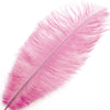 Ostrich Feather Blondine