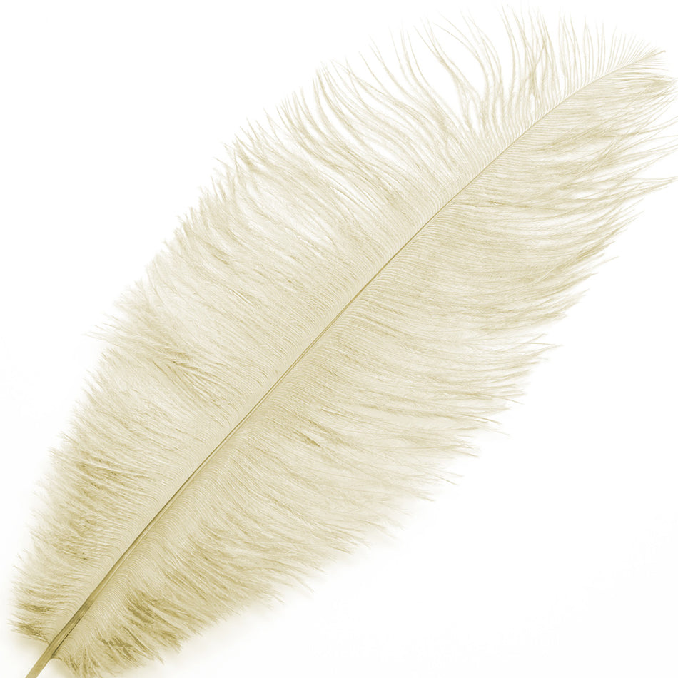Ostrich Feather Blondine