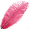 Ostrich Feather Blondine