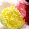 Flower Feather XLarge Peony