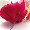 Flower Feather XLarge Peony