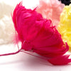 Flower Feather XLarge Peony