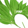 Feather Wire Mount - Coque Feather Spray - Diamond Tail