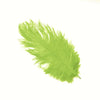 Ostrich Feather Plume 30-40cm