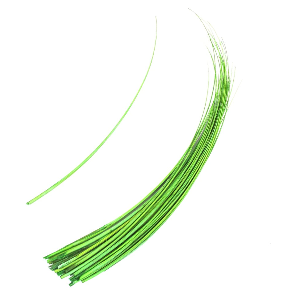 Ostrich Feather Quill Spine