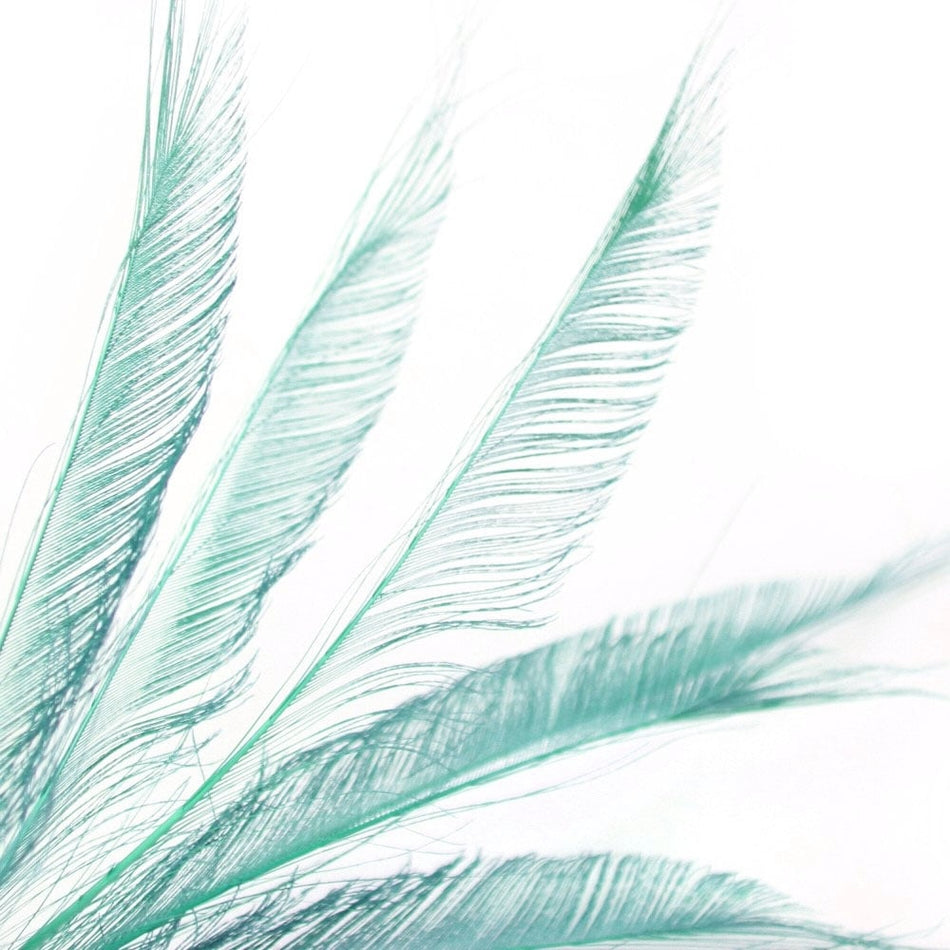 Peacock Feather Sword (3 Pack)