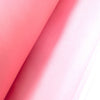20 Denier Nylon Mesh
