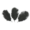 Ostrich Feather Plume 15-20cm (3 Pack)