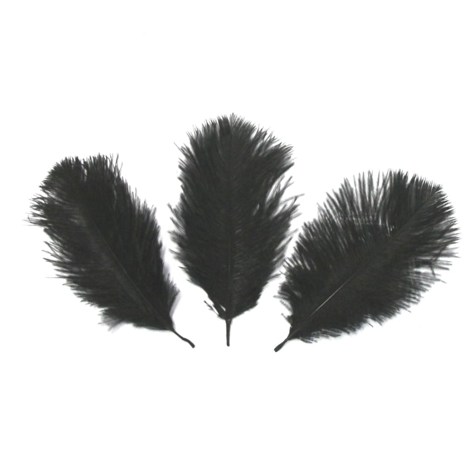 Ostrich Feather Plume 15-20cm (3 Pack)