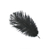 Ostrich Feather Plume 30-40cm