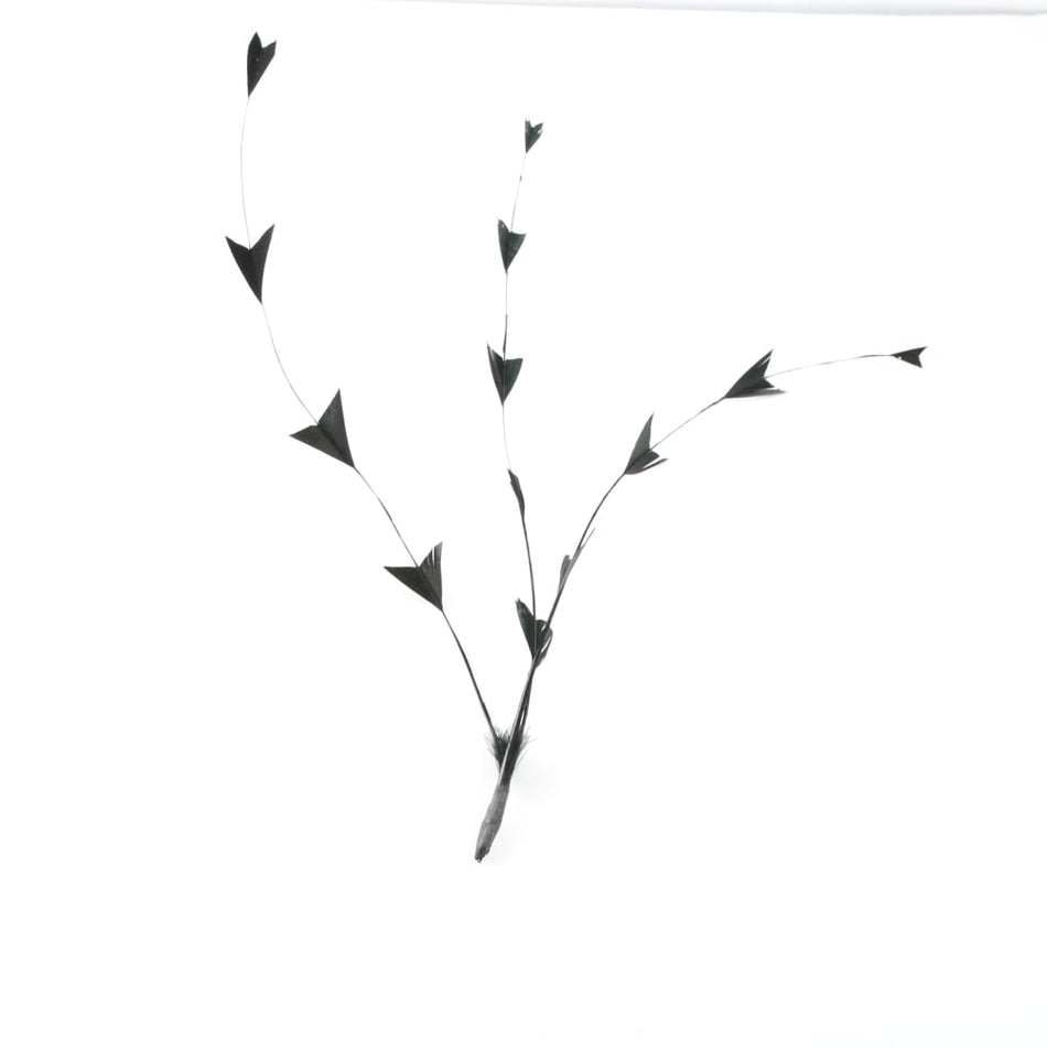 Stripped Coque Feather Bunch - Fish Tail