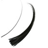 Ostrich Feather Quill Spine