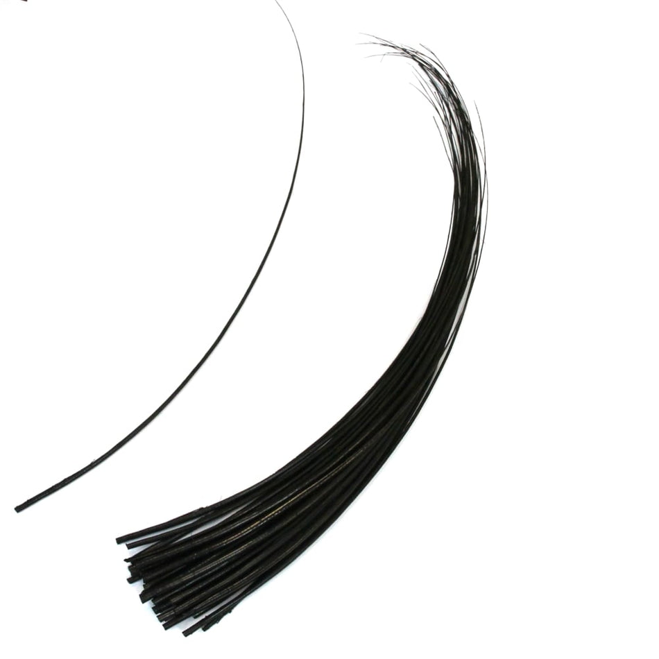 Ostrich Feather Quill Spine