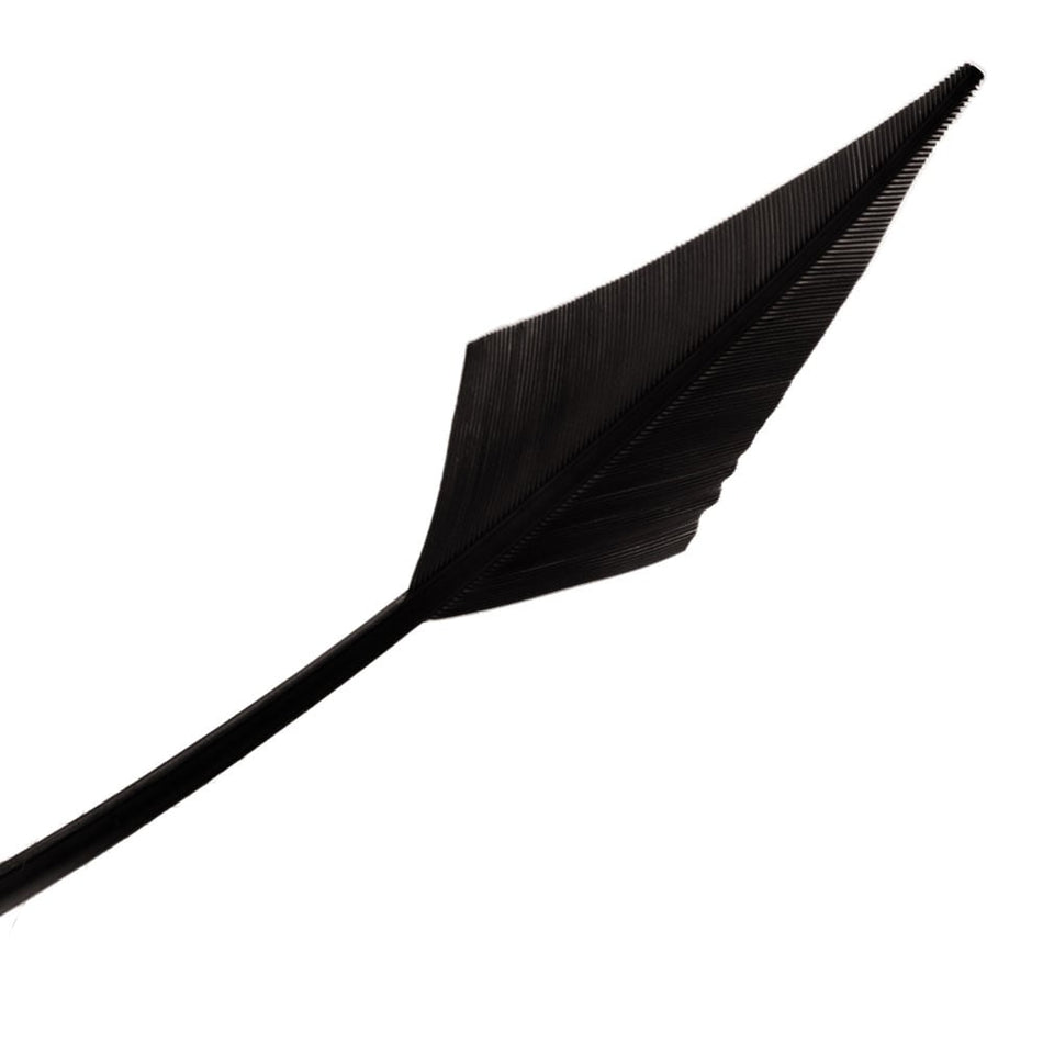 Turkey Feather Arrowhead