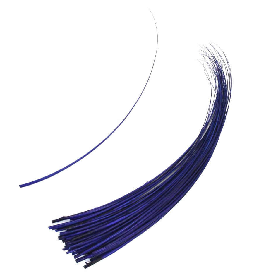 Ostrich Feather Quill Spine