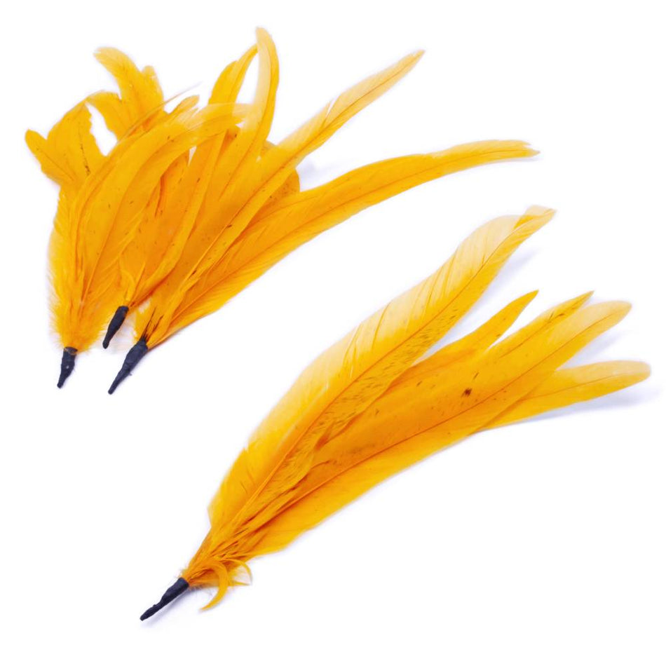 Coque Feather Bunch