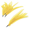 Coque Feather Bunch