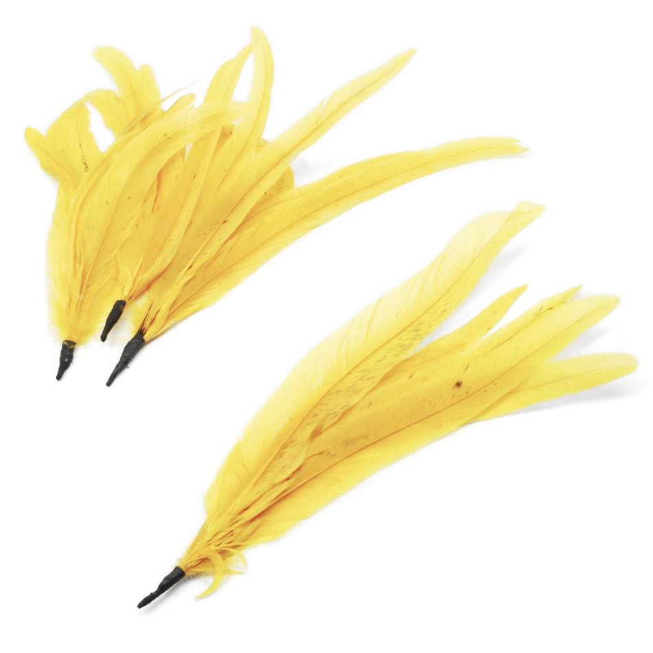 Coque Feather Bunch