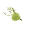 Marabou Tuft Feather Bunch w Spiky Biot
