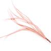 Feather Spiky Biot Bunch