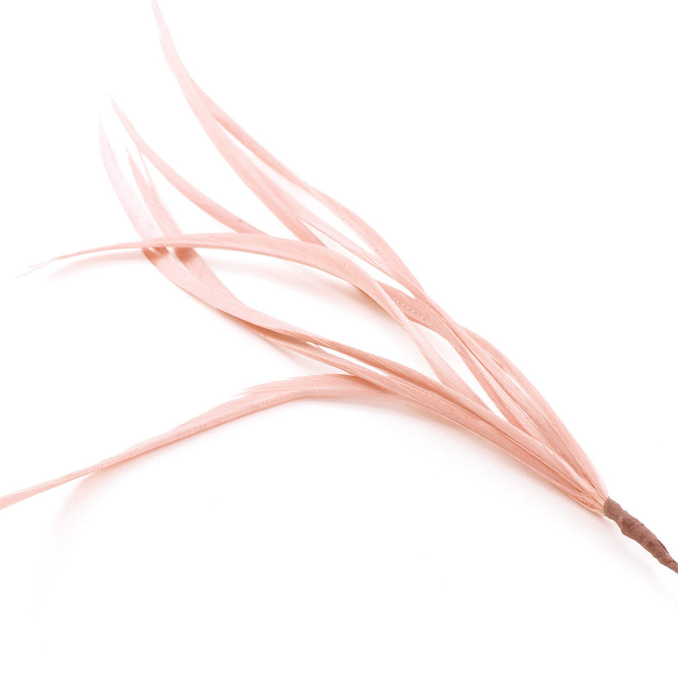 Feather Spiky Biot Bunch