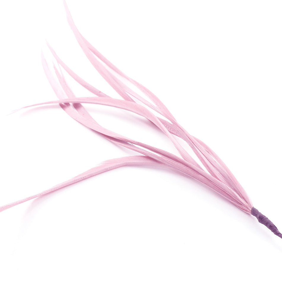 Feather Spiky Biot Bunch