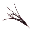 Feather Spiky Biot Bunch