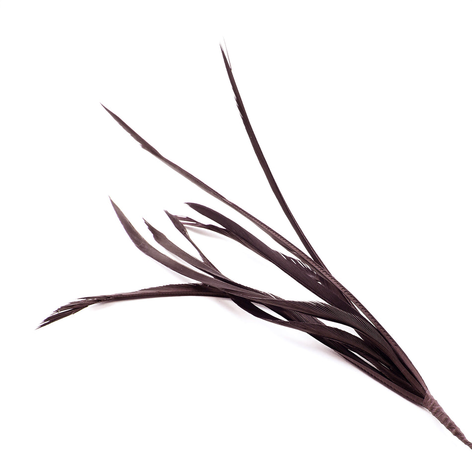 Feather Spiky Biot Bunch
