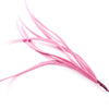 Feather Spiky Biot Bunch