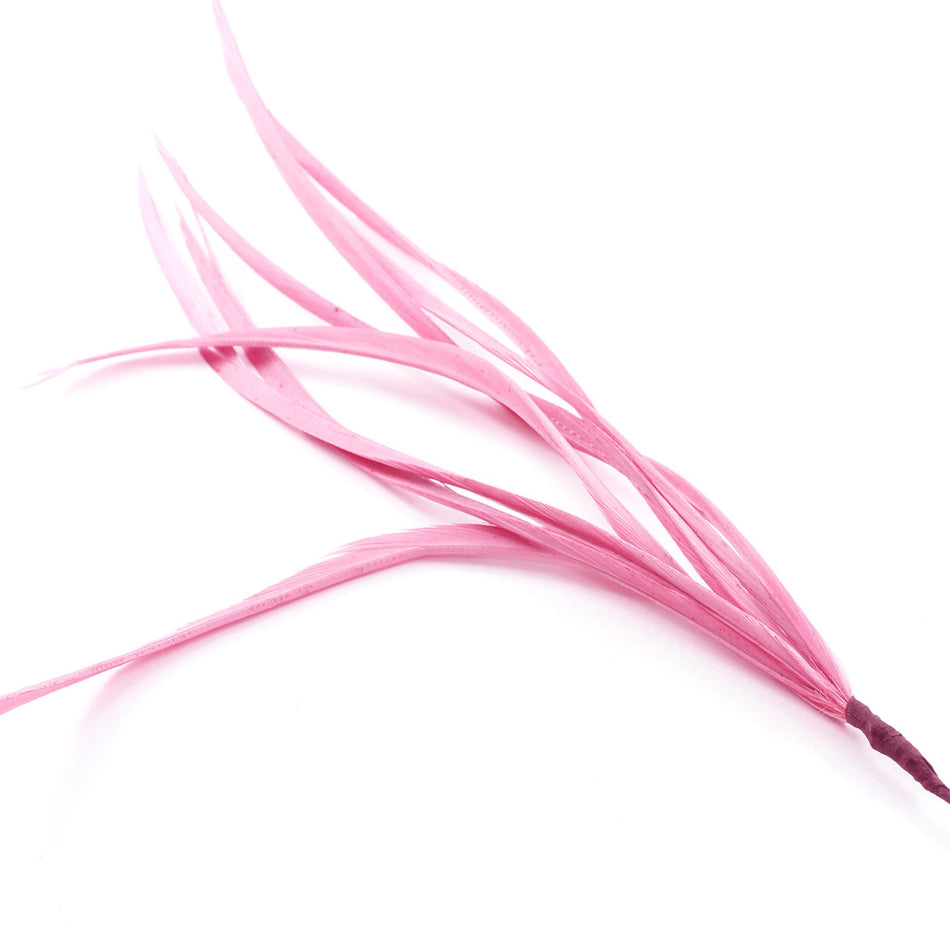 Feather Spiky Biot Bunch