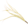 Feather Spiky Biot Bunch