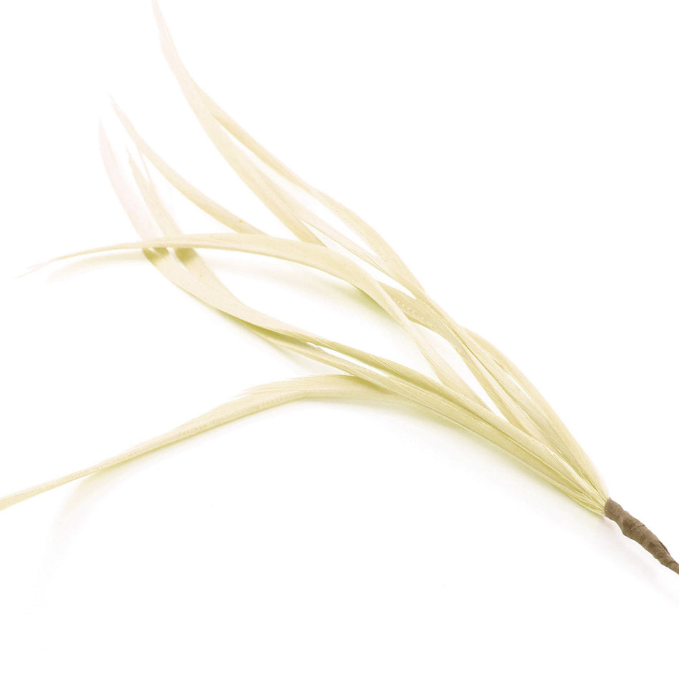 Feather Spiky Biot Bunch