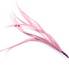 Feather Spiky Biot Bunch