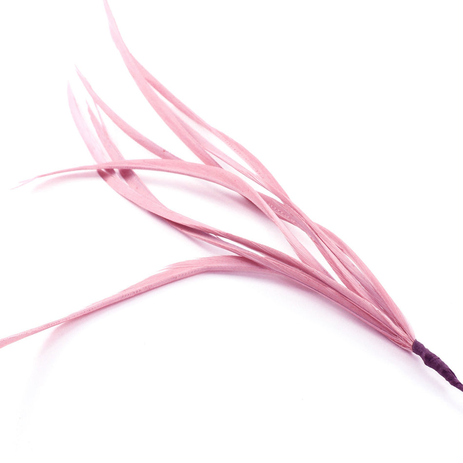 Feather Spiky Biot Bunch