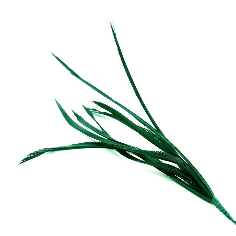 Feather Spiky Biot Bunch