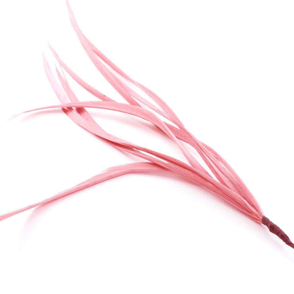 Feather Spiky Biot Bunch