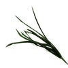 Feather Spiky Biot Bunch