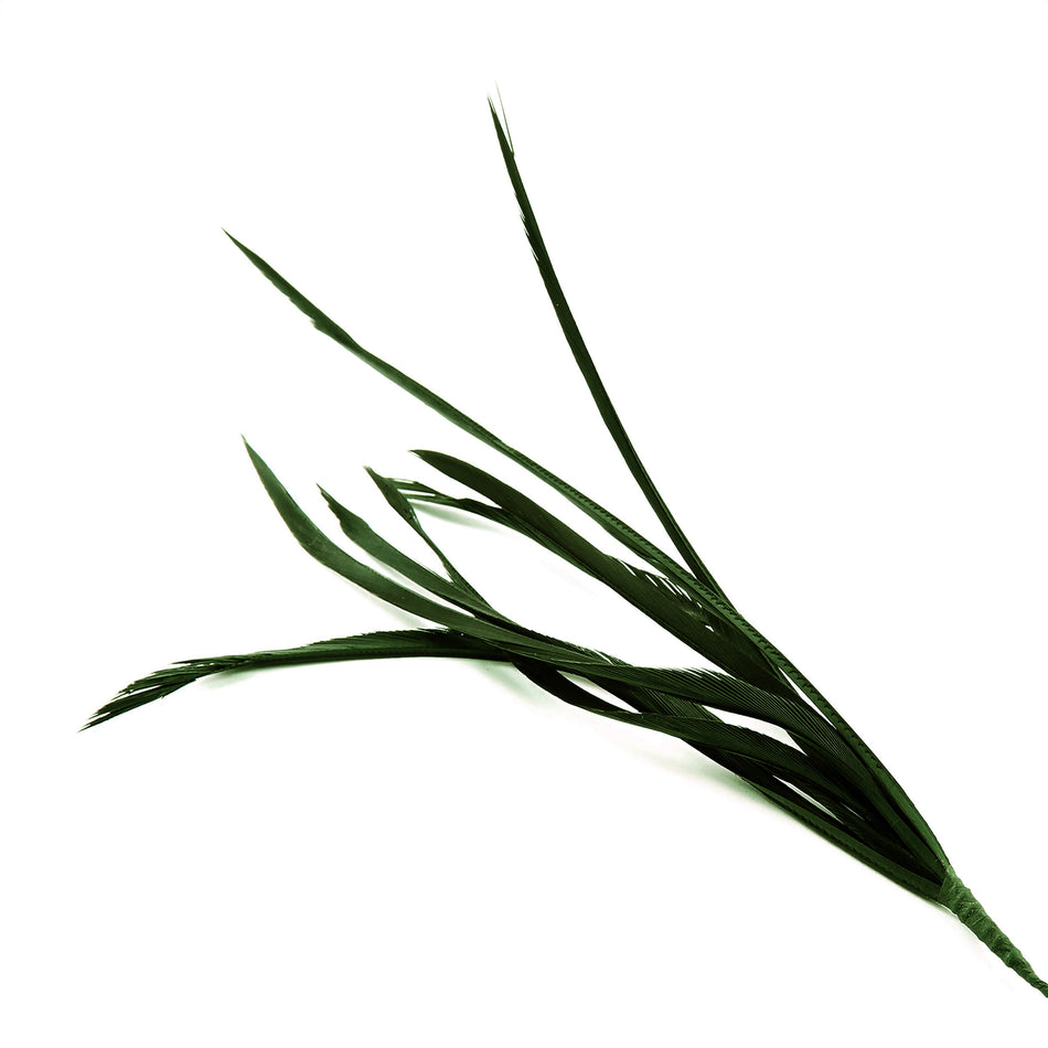 Feather Spiky Biot Bunch