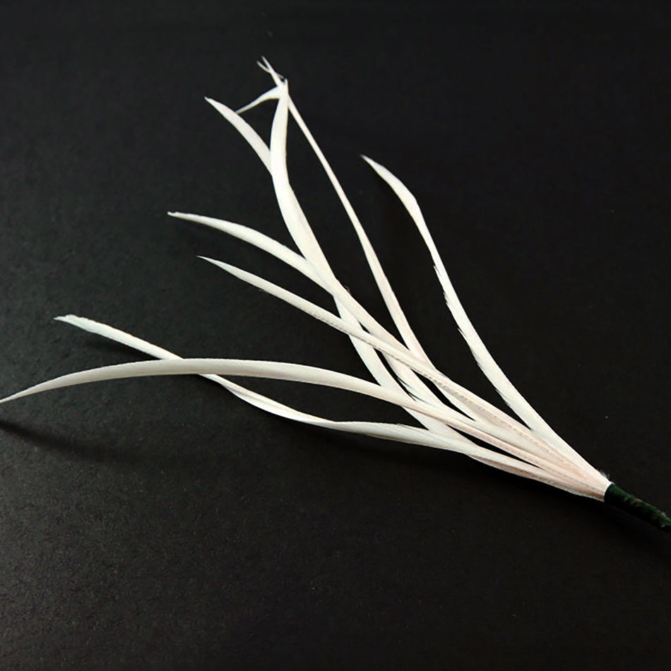 Feather Spiky Biot Bunch